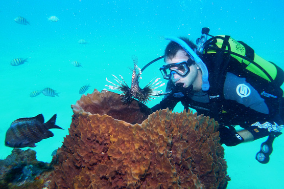 Diver with Lionfish in Sponge